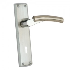 "Vophsi" Zinc Handle with Back Plate